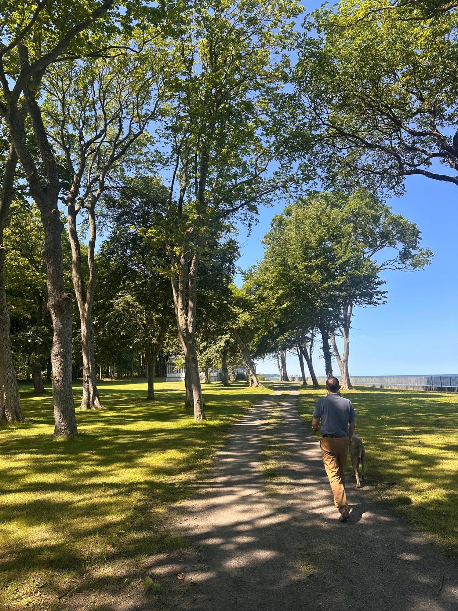 Waldspaziergang